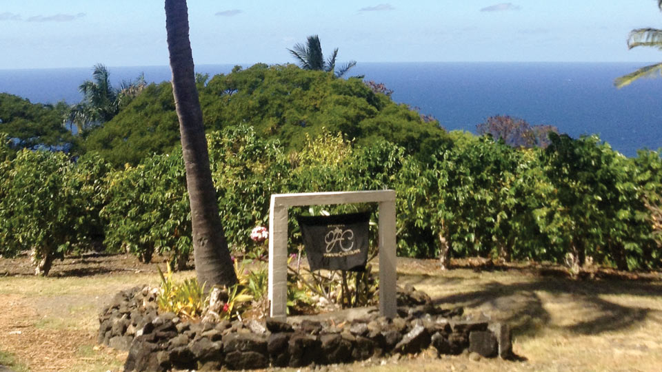A Taste of Chocolate in the Hawaiian Islands