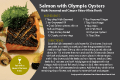 Salmon with Oysters Recipe